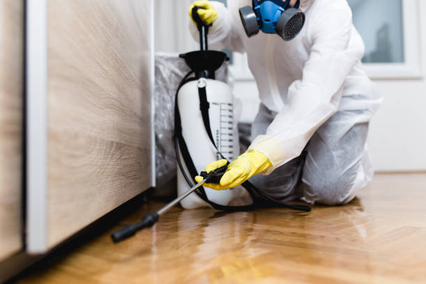 Best Wildlife Control Services  in Julian, CA