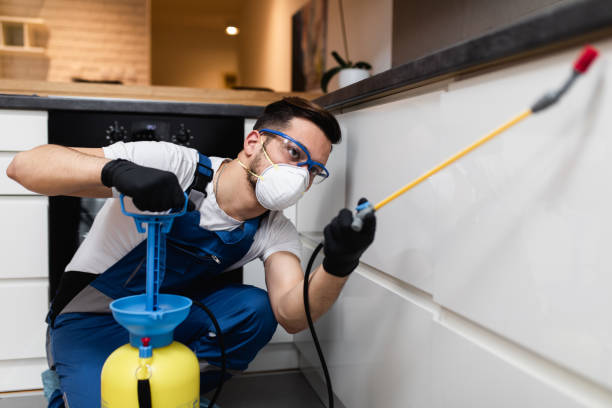 Best Emergency Pest Control  in Julian, CA