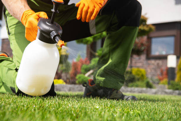Best Local Pest Control Services  in Julian, CA
