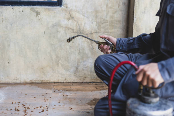 Best Pest Control Near Me in Julian, CA